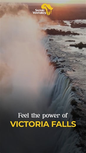 Victoria Falls isn’t just a waterfall it’s a force of nature. Stand above the gorge, feel the mist on your face, and hear the roar that never stops. Explore the experience: https://www.safariventures.com/destinations/victoria-falls/ #SafariVentures #VictoriaFalls #AfricanWonder #WaterfallMagic #BucketListTravel #ExploreAfrica #africansafaris #WildlifeAdventures #safariexperiences #NatureGetaway #luxurysafaritours #exploreafrica #ExploreAfrica #bucketlistadventures #africanwildlife #travelafrica 
