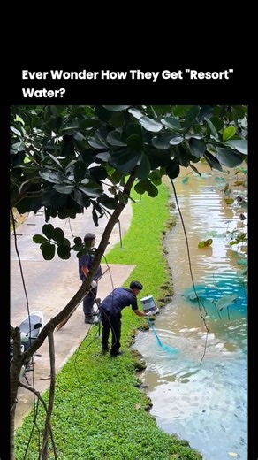 Net Wealth | Luxury & Supercars on Instagram: "This might be the most satisfying thing you see all day. 💙 This is how resorts and parks get that stunning "crystal blue" water look. It’s a special, non-toxic pond dye that helps block sunlight, which in turn prevents algae from growing. It's a "before and after" in real-time. How satisfying is this to watch? 1-10? 👇 Follow @netwlth for more satisfying moments. Follow @netwlth for your daily dose of calm. . . . . . #oddlysatisfying #satisfying #a
