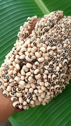 39K views · 157 reactions | help me please#ticks #scary #lice #ticks #head | Ticks London | Facebook