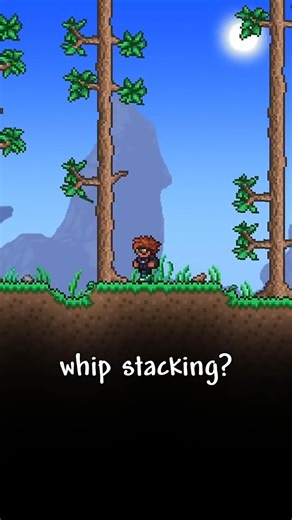 Should Terraria Bring Back Whip Stacking? #terraria
