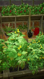 Big Farm: Mobile Harvest on Reels