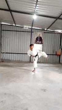 Heian Yondan Kata | Shotokan Karate