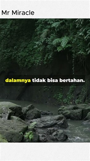 Sungai Ini Bisa Mendidih? #shortsfeed #shortvideo #short #shorts #fyp