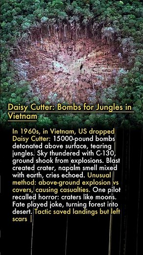 💣Daisy Cutter: Bombs for Jungles in Vietnam 🌿💥