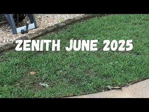 Zenith Zoysia From Seed 2025 Update! Seeding a Warm Season Lawn.