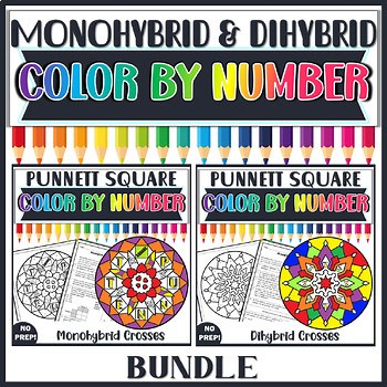 Monohybrid & Dihybrid Crosses Color by Number Bundle | Punnett Squares Worksheet