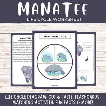 Manatee life cycle, Sea cow ocean animals science unit study with fun facts!