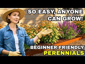 10 Easiest Perennials for Beginners — NO Experience Needed! 😍