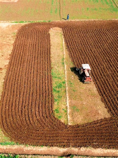 Exploring the Role of Tractors in Modern Agriculture