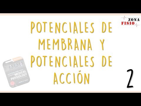 PHYSIOLOGY: MEMBRANE POTENTIALS AND ACTION POTENTIALS / E2 / RESTING MEMBRANE POTENTIAL