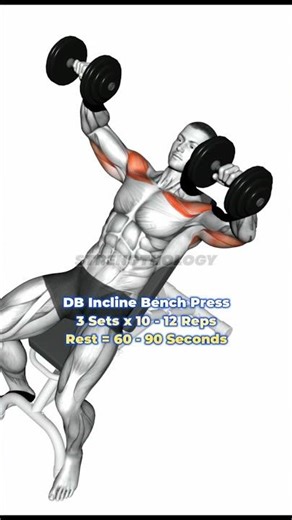 The V Taper Upper Body Workout