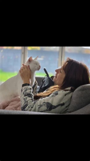 Catherine Huntley on Instagram: "The cats of Chez Huntley are excellent nurses! They prescribe lots of rest, sleep & looking cute as their perfect trifecta. This has it's roots in their 5 point default mode (the other two points are eat & poop) 😊 I wanted to say a massive thank you for all of your amazingly kind get well wishes after my foot surgery. I'm healing well but not quite ready to wear shoes (not even the surgical one provided) as it hurts way too much..but I'm getting around the house