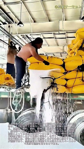 大型輸送トラックからのバラ積み貨物の手作業による荷降ろし工程：作業員が織布製袋入りの粒状貨物を手作業で排出する方法