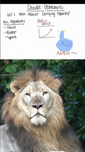 What Is Carrying Capacity? - Explained!