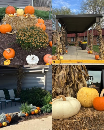 As October draws to a close, it's the perfect time to showcase the outstanding creativity of the Illuminus Landscaping and Grounds team as they help residents and staff celebrate the season at each of our communities. Thank you for your dedication and hard work in making our campuses both beautiful and festive! | Illuminus