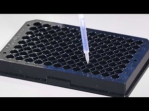 US | ENDONEXT™ | The Evolution Of Endotoxin Testing