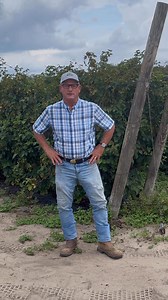 Unfortunately, our spring u-pick season has officially come to an end. While we hoped to have u-pick available through early June, upon returning to the farm after Memorial Day, we determined in addition to the blackberry season, both the blueberry and peach seasons have ended. We still have some sweetcorn and veggies available at the farm and plan to have a drive-thru for you to pick up produce and Southern Hill Farms favorites. Please keep an eye on our website and social media for updates. Th