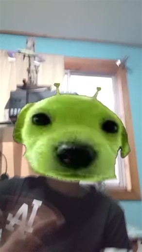 Videos de EL PERRO ALIEN 3000 (@mac06215) con “sonido original - EL PERRO ALIEN 3000”