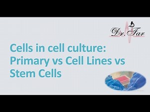 Lesson 2- Primary vs Cell Lines vs Stem Cells