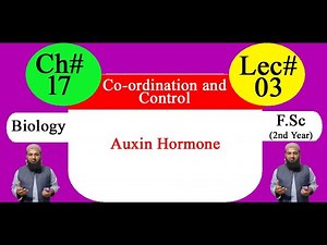 Biology Ch#17-Lecture#03 Auxin Hormones (F.Sc 2nd Year)
