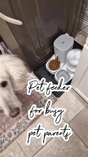 This auto pet feeder is perfect for busy dog and cat owners who want their pets fed on time every day. With automatic scheduling and portion control, feeding is stress-free even when you’re at work or away.If you travel or work long hours, an auto pet feeder is a must-have. It keeps your dog or cat fed consistently while you’re gone and gives total peace of mind. #petcare #dogowners #petproducts #dogproducts #catproducts