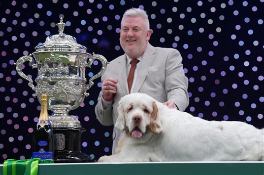 What is a Clumber spaniel? Breed takes historic win at Crufts