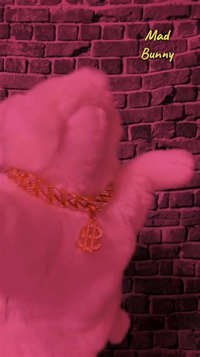 Candy Shop - 50 Cent #50cent #candyshop50cent #dancingpuppet #rabbitpuppet #rapperpuppet