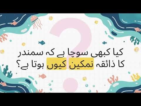 Why is the Ocean Water Salty? | Unveiling the Secret of the Sea 🌊