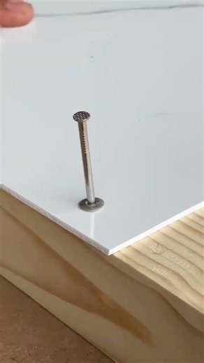 installing plywood using rivets #shortsvideo