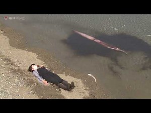 【ロングver】生きたダイオウイカ 深海から来た神秘の生物(2022年4月20日)