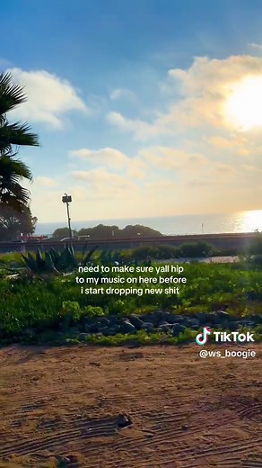 Discover My Music: Which Boogie Track to Start With?