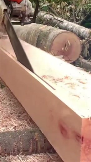 the process of splitting large logs into planks using a senso machine #construction #popular #shorts