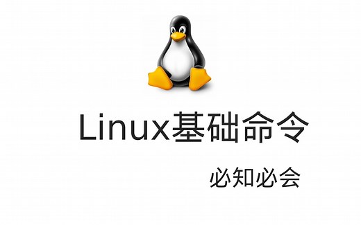 Linux小白Shell入门---必知必会的基础命令