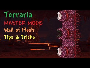 Terraria 1.4 Journey's End - How to beat the Wall of Flesh Master Mode - WoF guide - Tips & Tricks