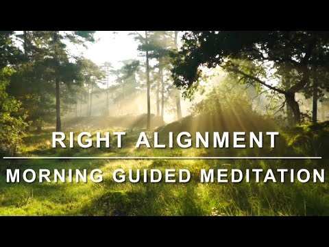 Law of Attraction Guided Morning Meditation 🧘🧘‍♀️Right Alignment With Steve Viglione