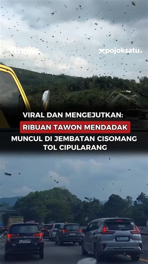 Viral dan Mengejutkan: Ribuan Tawon Mendadak Muncul di Jembatan Cisomang Tol Cipularang Sebuah video viral yang memperlihatkan ribuan tawon beterbangan di sekitar Jembatan Cisomang, ruas Tol Cipularang arah Bandung, menggegerkan publik pada Rabu (24/12/2025). Fenomena tak biasa ini terekam jelas oleh sejumlah pengendara dan dengan cepat menyebar luas di media sosial, memicu rasa kaget sekaligus penasaran warganet. Dalam rekaman yang beredar, terlihat kawanan tawon memenuhi udara di sekitar jemba
