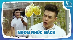 146K views · 3.5K reactions | Ta nói nó ngon nhức cái nách Lâm luôn á quý dị kkk. Ăn miếng mà cái người nó dựt cà dựt. Thiếu điều Lâm muốn gom về bán lai chim cho mọi người luôn hehe 藍藍藍 #DuongLam #SongLuan #MisThy #AmThucKyThu #DongTayPromotion #VieNetwork #DaLat © Nội dung được khai thác và bảo vệ bản quyền bởi Vie Network. | Lê Dương Bảo Lâm | Facebook