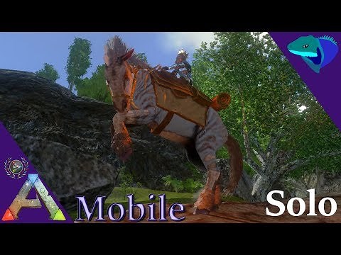 EQUUS TAMING AT LAST! HOW TO TAME BY RIDING! Solo ARK: Mobile [S1:E40]