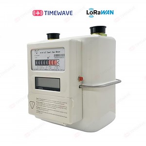 [Hot Item] G4 Smart Gas Meter with Lorawan/Cat. 1/Nb for Advanced Remote Control Metering