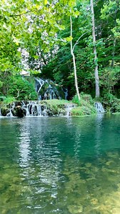 1.6M views · 27K reactions | This looks like Costa Rica or Thailand, but it’s actually in Covington Virginia! The Alleghany Highlands of Virginia is a gorgeous place to visit and explore. #beaverdamfalls | RVA Hiker Girl | Facebook