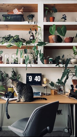 26K views · 190 reactions | It’s like damn body… you miss the sunlight that bad? Mindfulness is legit the act being in the moment. So sometimes eating comfort food while watching a good tv show with the intention of helping myself feel better is how I practice. | The Plant Papi | Facebook