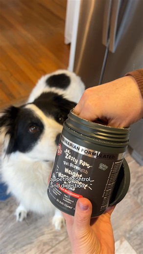 Need help, managing your pup’s weight? It’s easier (and tastier) than you think to support your pup's physique when you pair Vet Strength Weight Management Bites with regular exercise. | Zesty Paws