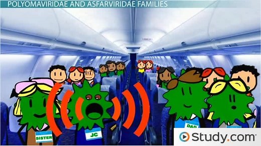 Other DNA Virus Families of Importance