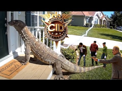 Dragon Lizard से हुआ Investigation Team का सामना | CID 2025