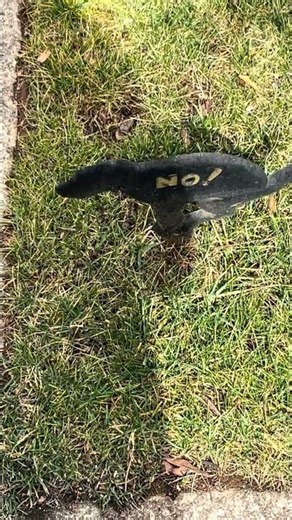 The “no dog poop” sign