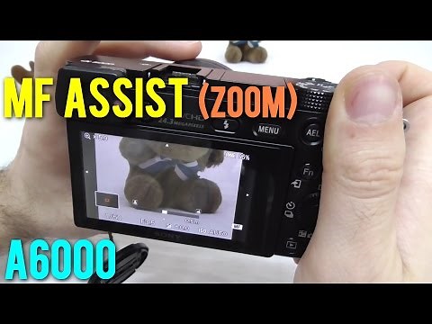Sony A6000: MF Assist (Zoom IN effect when Manually Focusing)