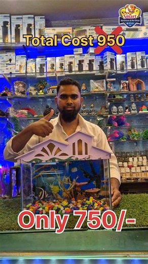 Cheap Price Aquarium Only ₹750 😍 #ytshorts #viral #aquarium #trending#trendingshorts #fishtank#cheap
