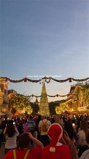 Best Day Ever Vacations | Family Travel Agency on Instagram: "If you’ve never experienced Disney in December… you’re not doing the holidays right. This is Disney at its absolute best. Cozy, festive, twinkly, magical. Every corner of the park feels like stepping straight into a Christmas storybook. Here’s what makes December a MUST-DO month: ✨ The holiday treats: Gingerbread Mickey, peppermint churros, hot cocoa cold brews, holiday beignets, the giant gingerbread house at the Grand Californian, a