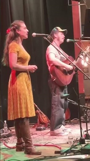 That Townes Van Zandt feeling - If I Needed You