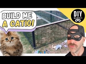 🔥 HOW TO BUILD A CUSTOM CATIO OUTDOOR CAT ENCLOSURE | Easy and Cheap DIY Project